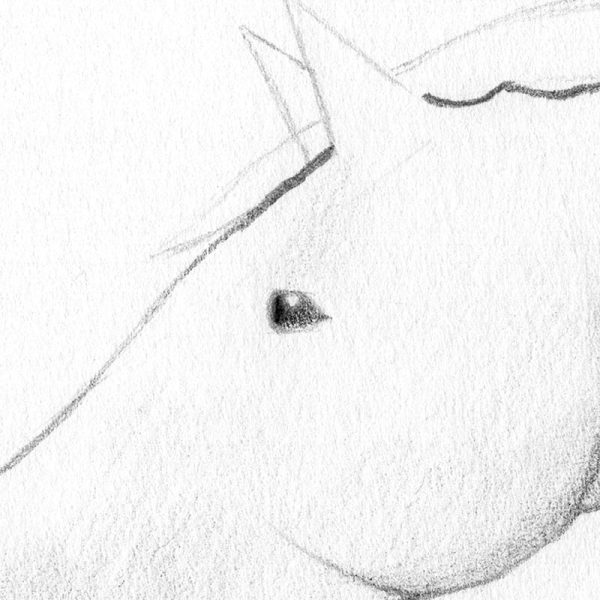 Puis, tout en laissant le petit cercle blanc, assombrissez l'intérieur
de l'œil par un noir un chouïa moins foncé.