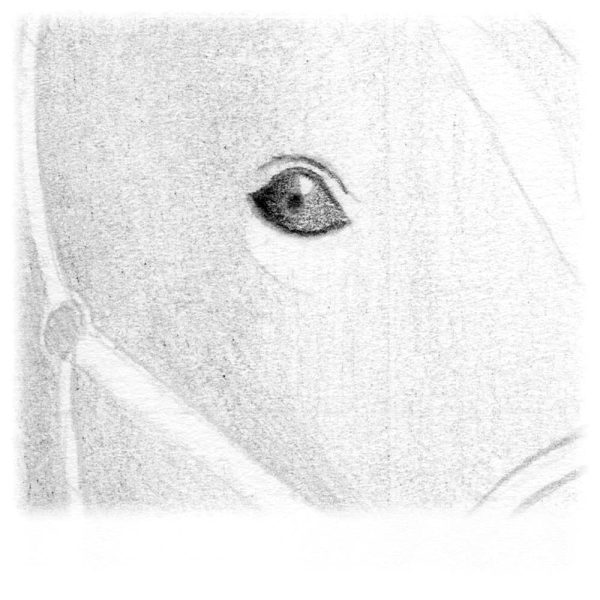 Faites un dégradé sur le côté gauche de l'œil.