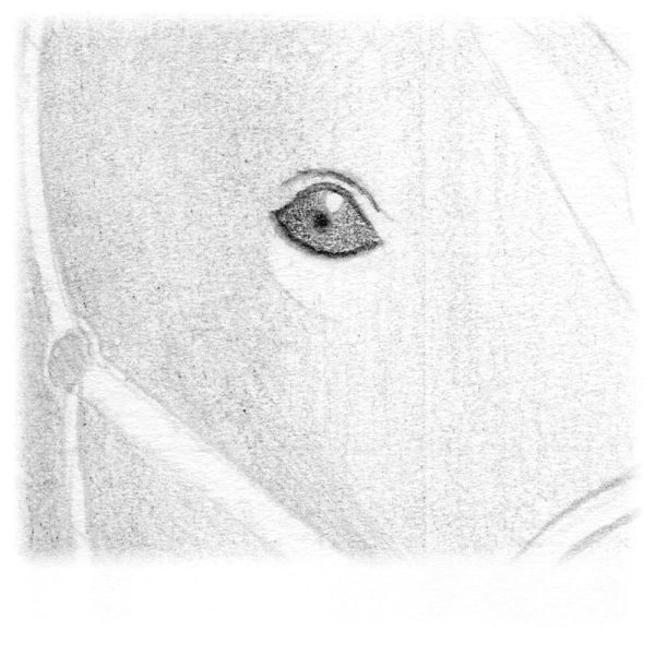 Assombrissez l'intérieur de l'œil avec un noir un peu moins foncé que la pupille et le contour de l'œil.