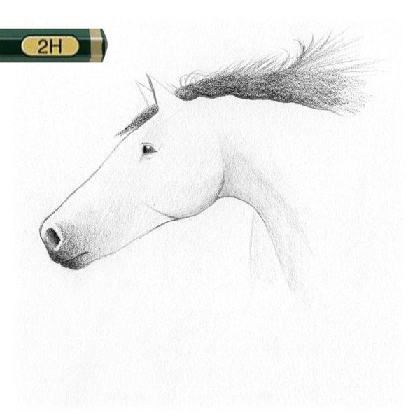 Toujours avec le 2B, rajoutez des mèches. Pour ce faire, positionnez
votre crayon dans la crinière, et tracez les mèches avec des
mouvements amples et souples.
Pour les pointes, relâchez la pression lorsque vous arrivez à la fin
de votre mèche.